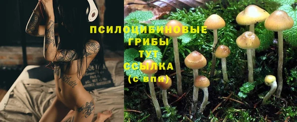spice Куйбышев