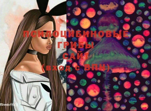 эйфоретик Кукмор